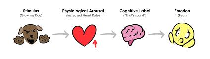 <p>Emotions are composed of two factors: physiological and cognitive; </p><p>Feeling arousal is not enough; we also must identify the arousal in order to feel the emotion.</p><p></p>