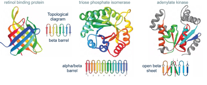 <p>What is a tertiary structure</p>