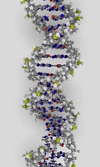 code for making proteins
