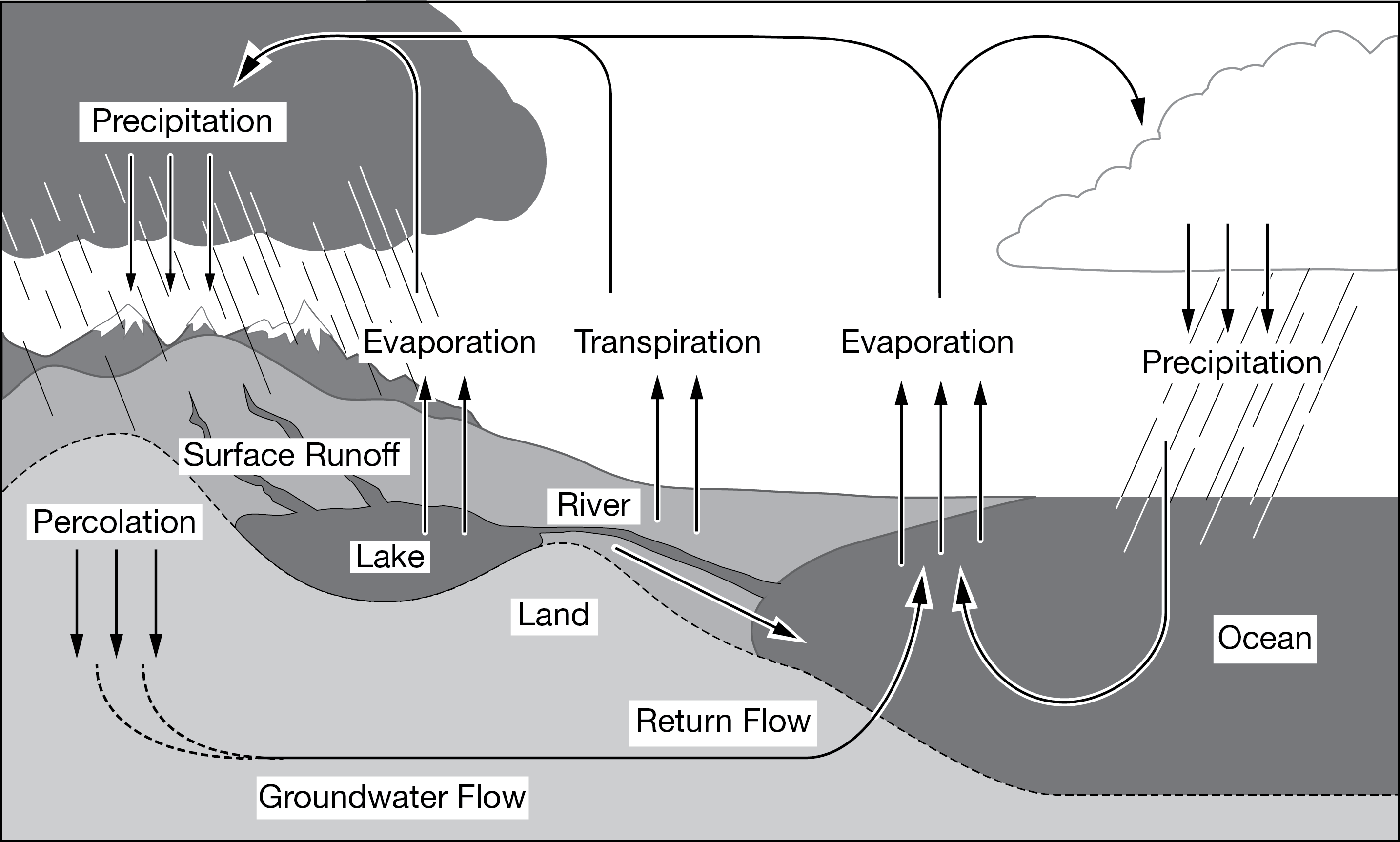 <p>Which of the following major&nbsp;reservoirs of freshwater are missing from the diagram?</p><p><strong>A. </strong>Fossil fuels</p><p><strong>B. </strong>Rocks</p><p><strong>C. </strong>Ice caps</p><p><strong>D. </strong>Algae</p>