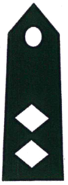 <p>What rank is this?</p>