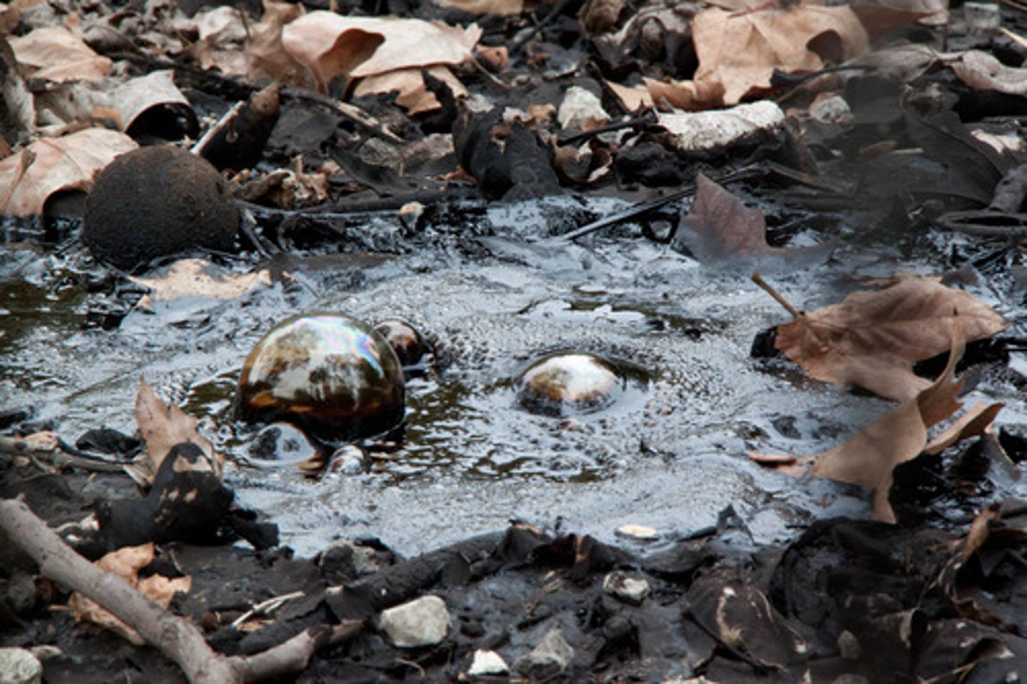<p>an accumulation of a natural, black, highly viscous mixture of hydrocarbons (called bitumen) exposed at the land surface<br><br>acumulación de una mezcla natural, negra y muy viscosa de hidrocarburos (llamada bitumen) expuesta en la superficie de la tierra</p>