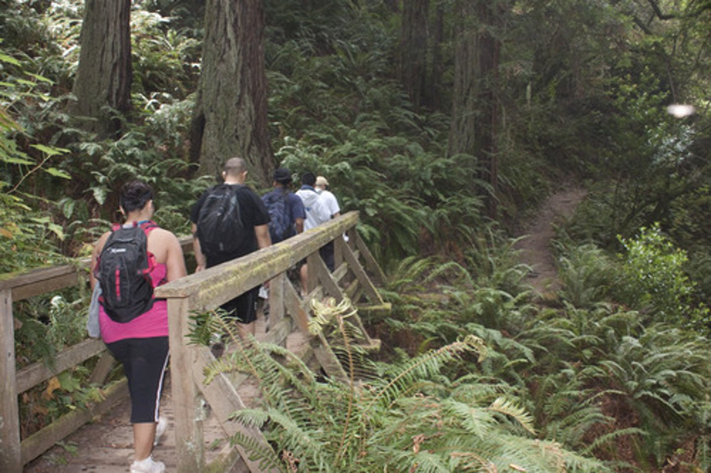 <p>to go for a hike</p>