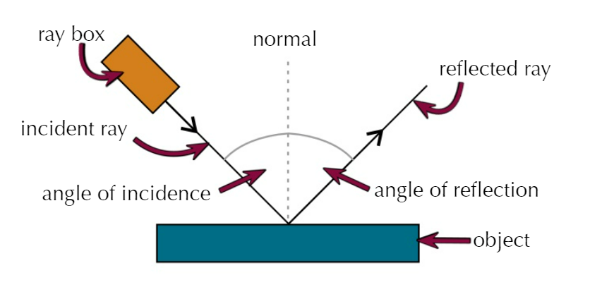 <ol><li><p>Draw a straight line on a piece of paper using a pencil and a ruler</p></li><li><p>Place the object so the side lines on to this line</p></li><li><p>Use a ray box to shine light on the side of the object</p></li><li><p>Draw the normal on the point where the ray hits the object</p></li><li><p>Place several crosses on the incident and reflected ray </p></li><li><p>Turn off ray box and draw straight lines through the crosses using a ruler</p></li><li><p>Measure the angle of incidence and reflection to the normal and he width and brightness of reflected ray</p></li><li><p>Repeat for a range of objects and compare</p></li></ol>