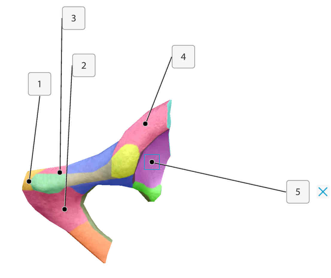 <p>What is 5?</p>