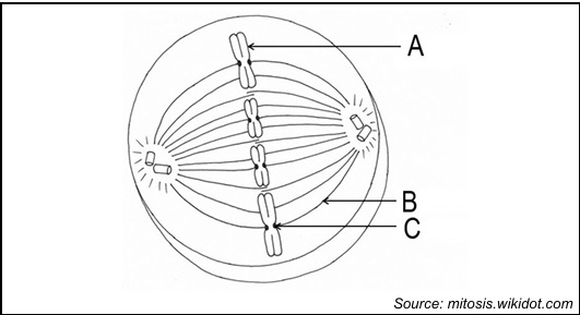 <p>what phase is this</p>