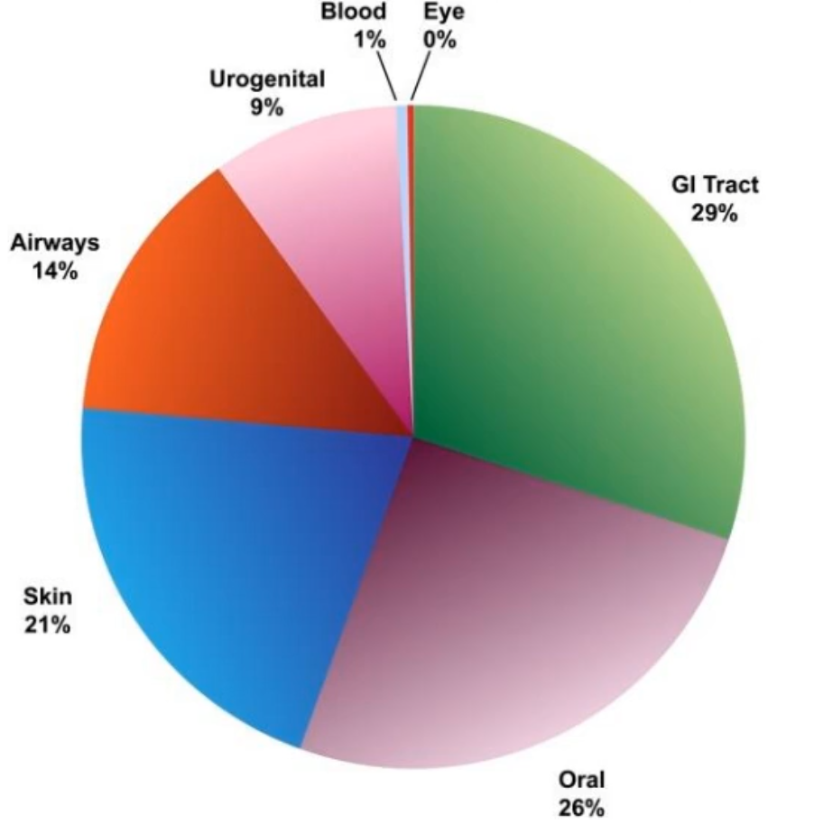 <p>what does this figure show?</p>