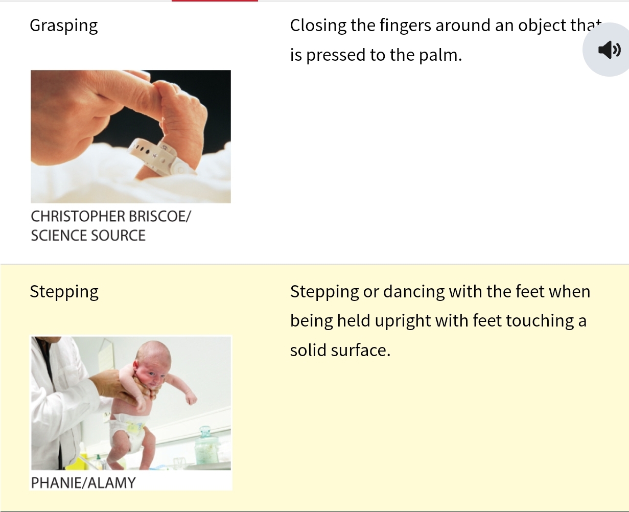 <p>more <strong><span>likely</span></strong> to <strong><span>occur</span></strong> <strong><span>when infant is hungry</span></strong></p>