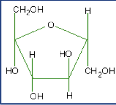 <p>What macromolecule is this?</p>