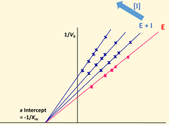 <p>No change in Km, pivots around Km, decrease in Vmax</p>