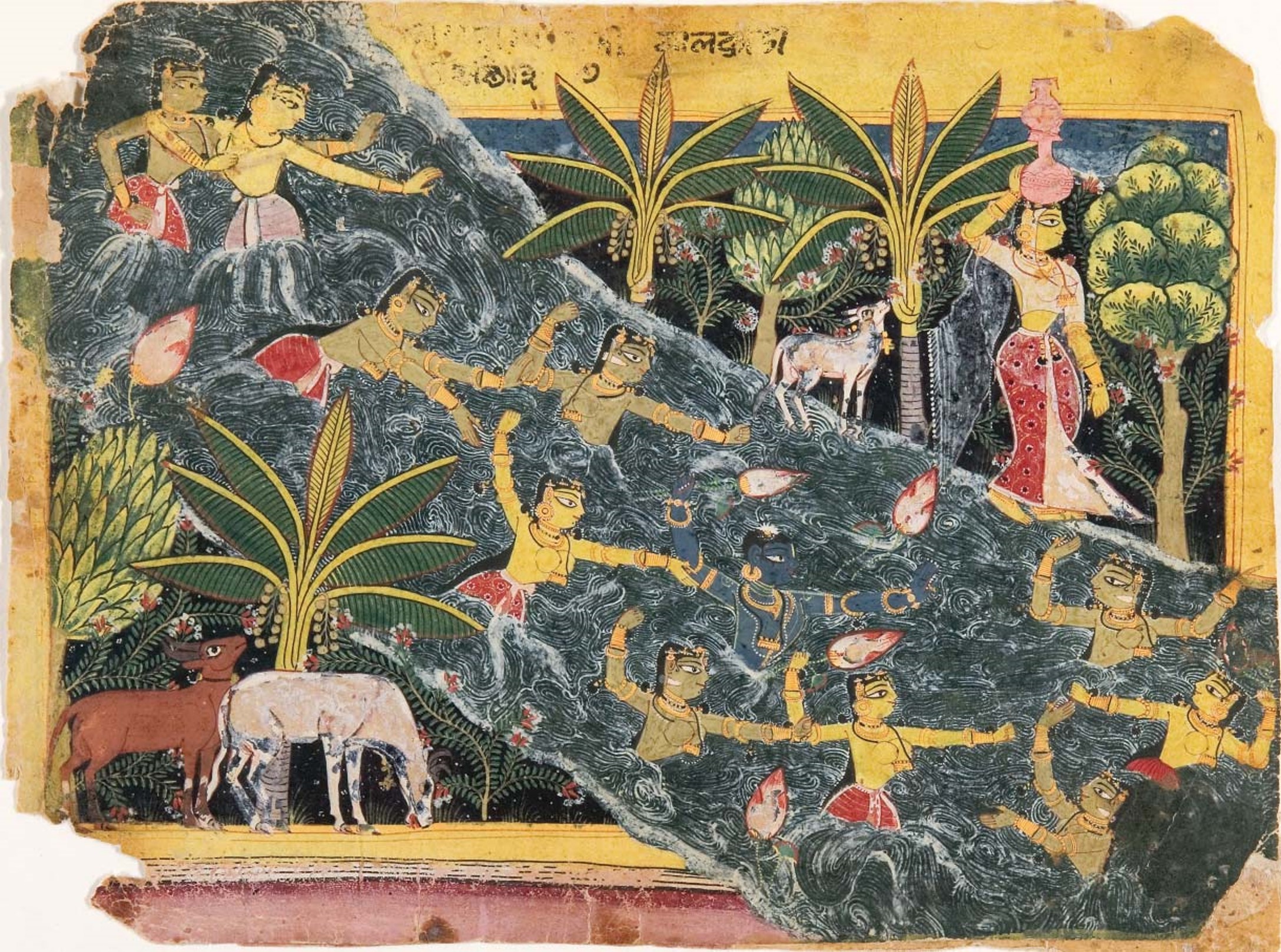 knowt flashcard image