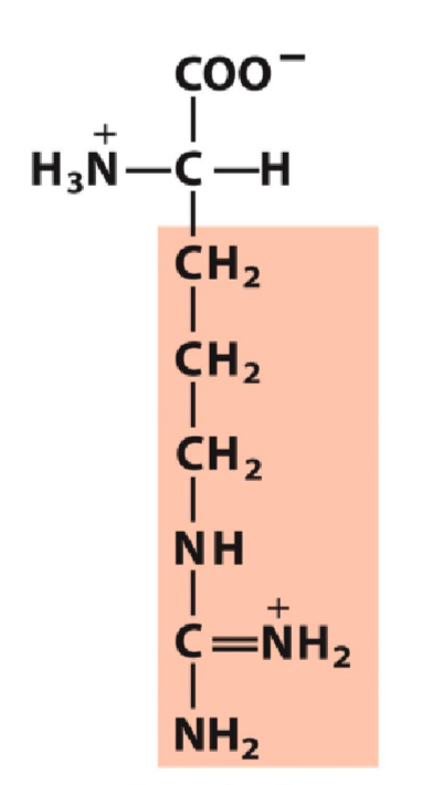 <p>Positive, pKa 12.48</p>