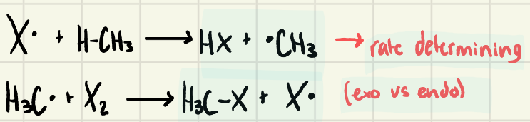 <p>-chlorination, bromination</p><p>-is not, one major</p>