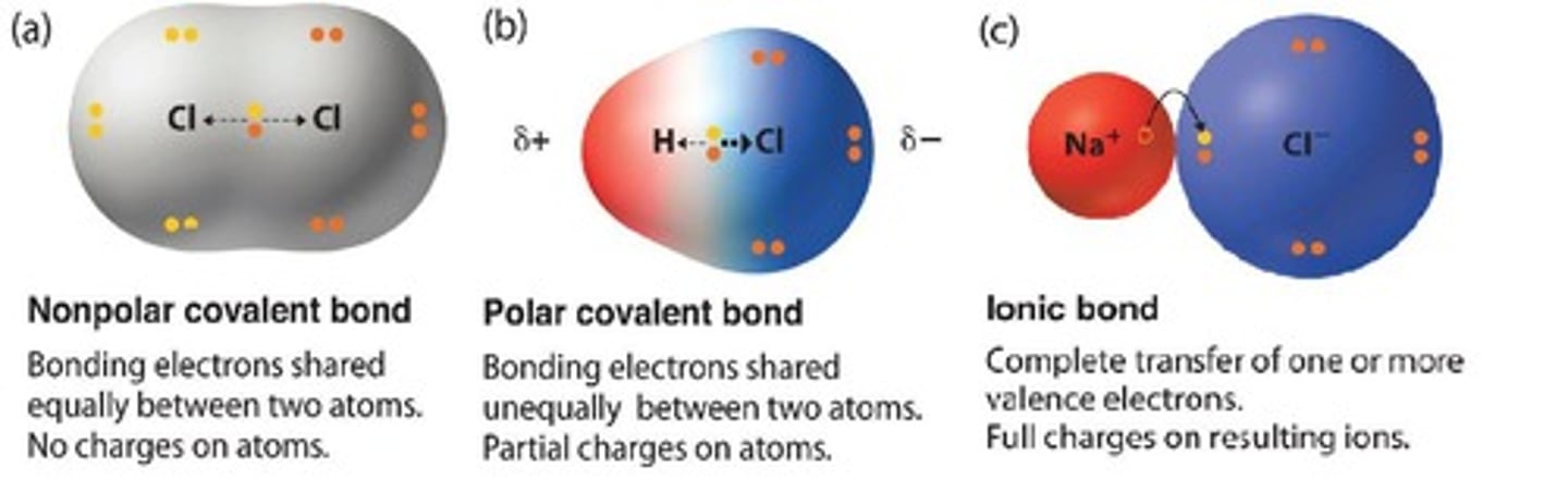 <p>Compound formed by ionic bonds between charged ions.</p>