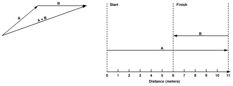 <p>The distance would be 11 m + 12 m = 23 m. The displacement magnitude would be 11 m + (-12 m) = -1 m, or 1 m to the left.</p>