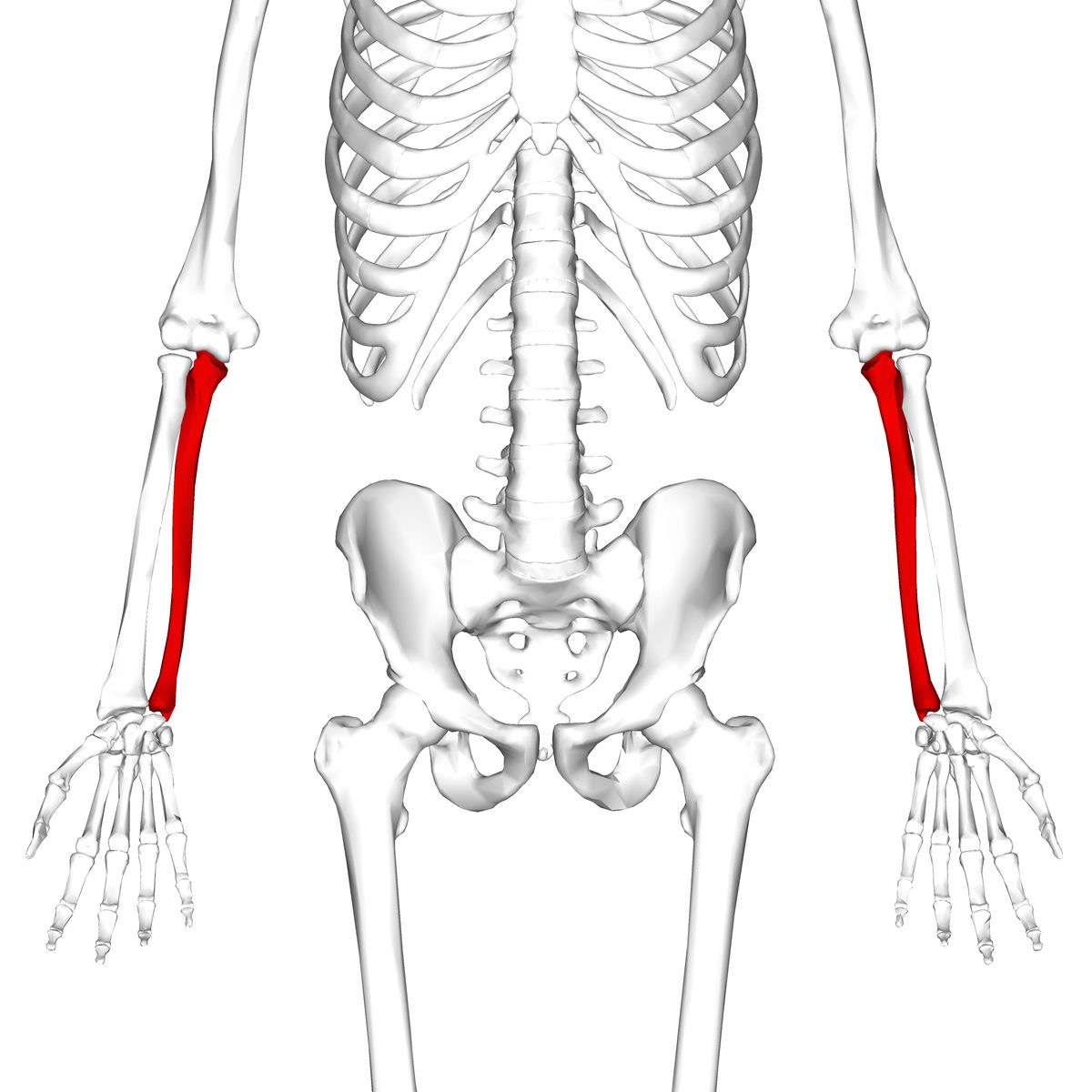 <p>Wat is hier aangeduid</p>