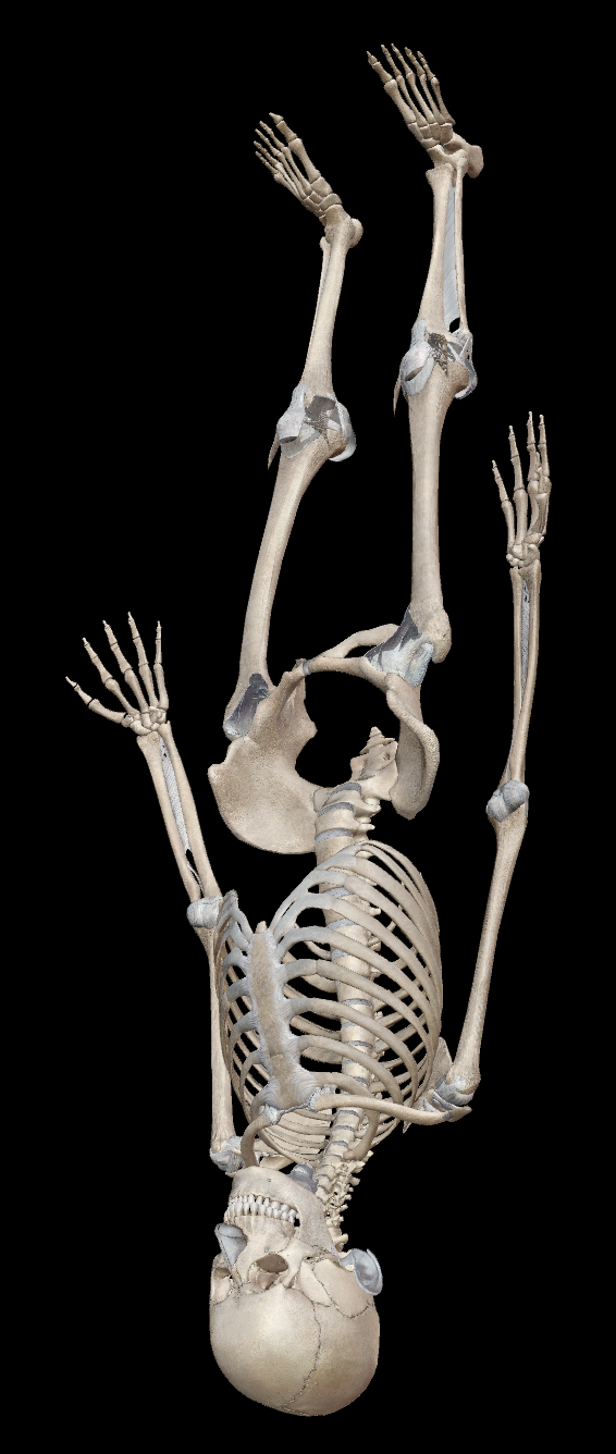 just standing there, menacingly
