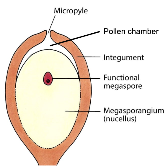 <p>What is this?</p>