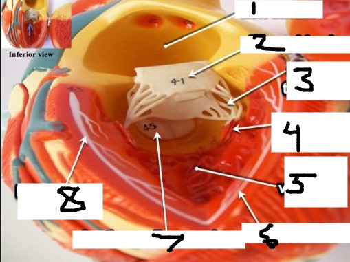 <p>2</p>