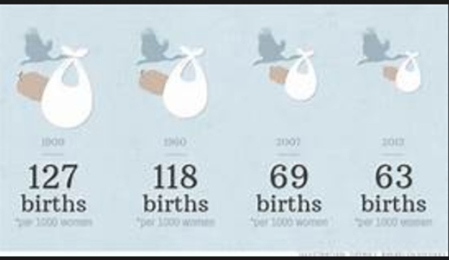 <p>birth rate decline</p>