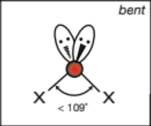<p>bent, 120 degrees</p>