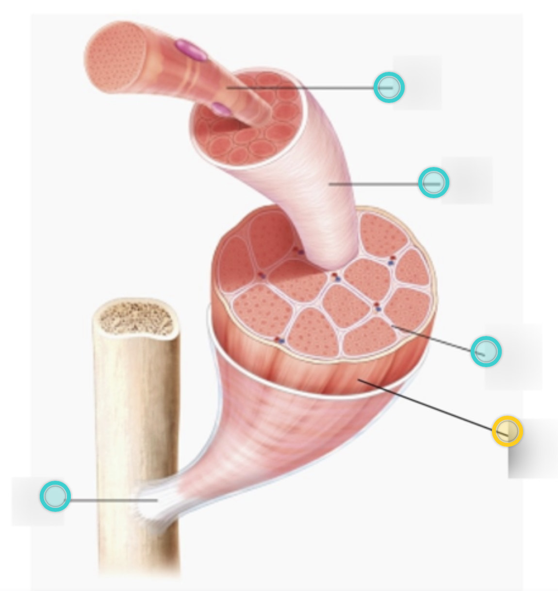 <p>what is this on the diagram?</p>