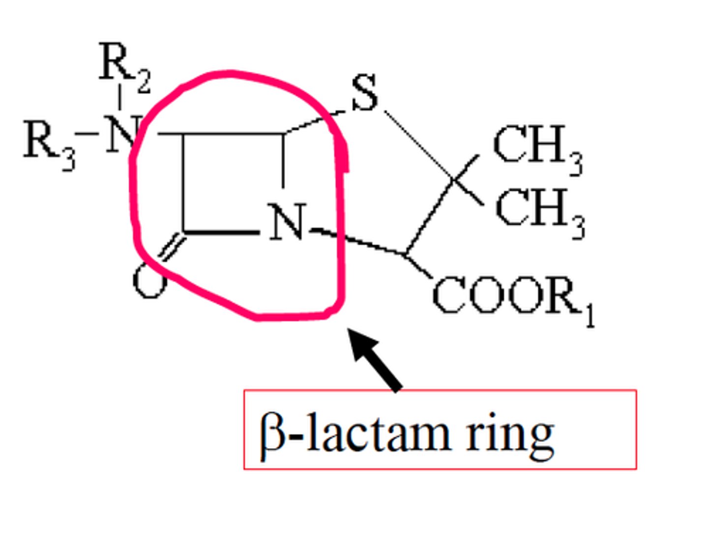 <p>4 membered lactam ring</p>