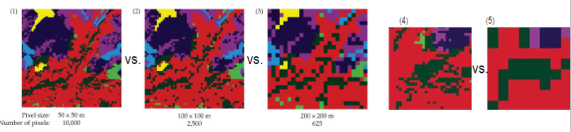 <p>the size of the smallest homogeneous unit of study</p><p>determines the resolution at which a landscape is studied and the quantity of data which must be compared</p><p>fine-grained studies allow greater differentiation of elements but require more data to be compared</p><p>larger-grained studies are better when looking at regional to continental patterns</p>