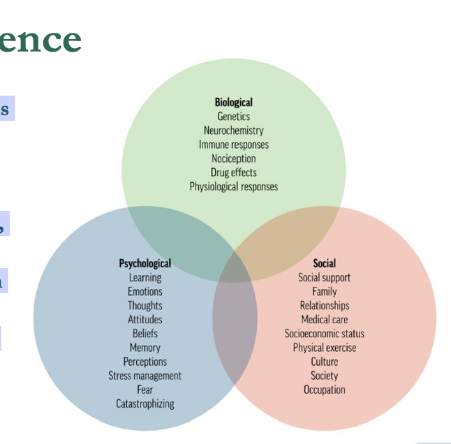 <p><span>• Developed in response to limitations of the biomedical model</span><br><span>• Recognizes pain as a multidimensional experience</span><br><span>• Integrates biological, psychological, and social factors</span><br><span>• Emphasizes individual variability in pain perception</span><br><span>• Supports interdisciplinary care and patient-centered approaches</span></p>