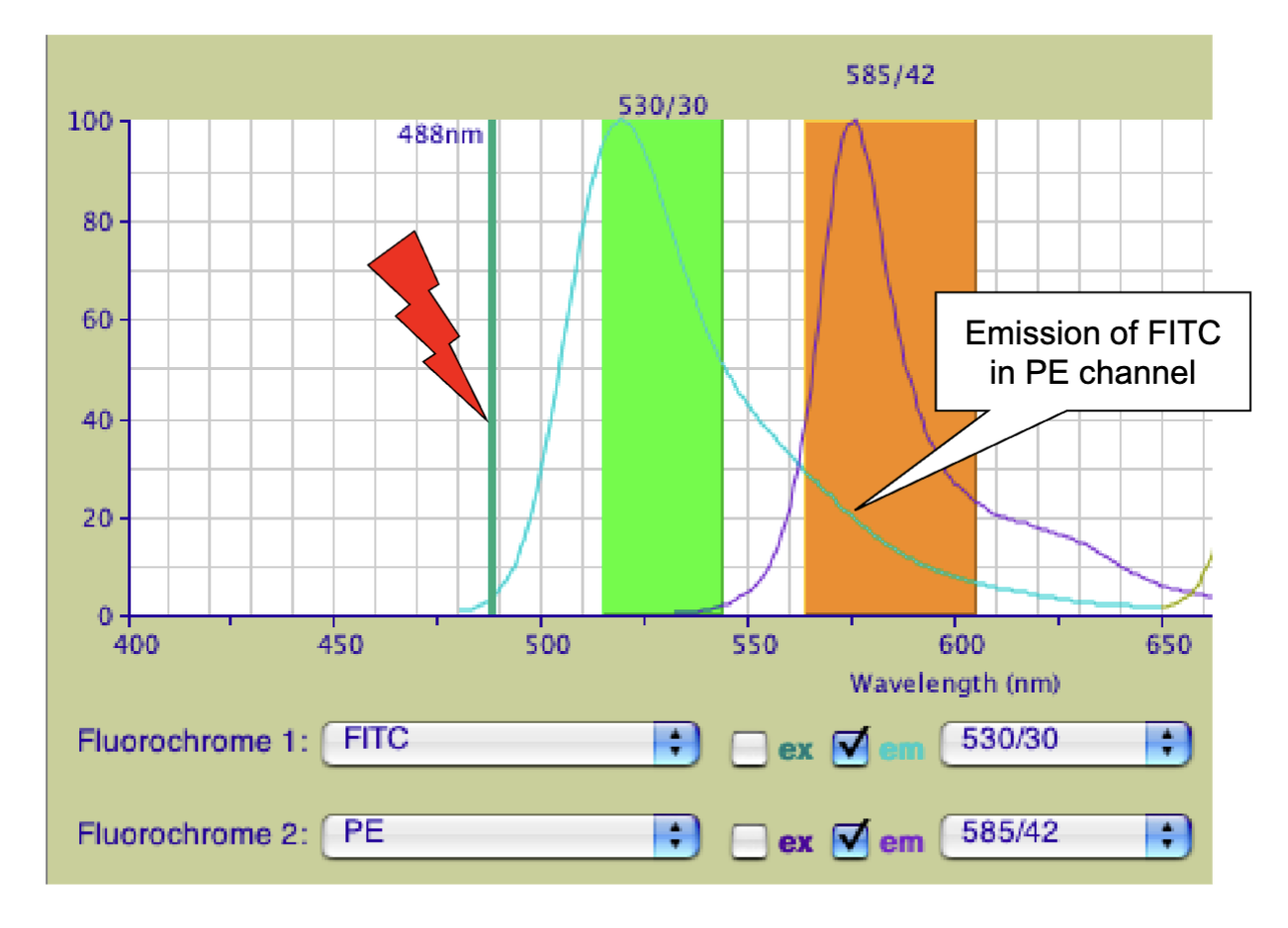 <p>ex: 2 antibody and both are activated by 488 laser</p><p>peak level proportional to amount of antibody used want to reduce the peak level to the extent of control spillover into neighbouring channel (blue goes into orange)</p><p>white arrow= spillover point</p><p><u>can control spillover w/ amount of antibody and the laser/ voltage</u></p><p><strong>most important control is the titration of antibod</strong>y (want the minimum sufficient amount less is better) needs high affinity antibody to reduce amount</p>
