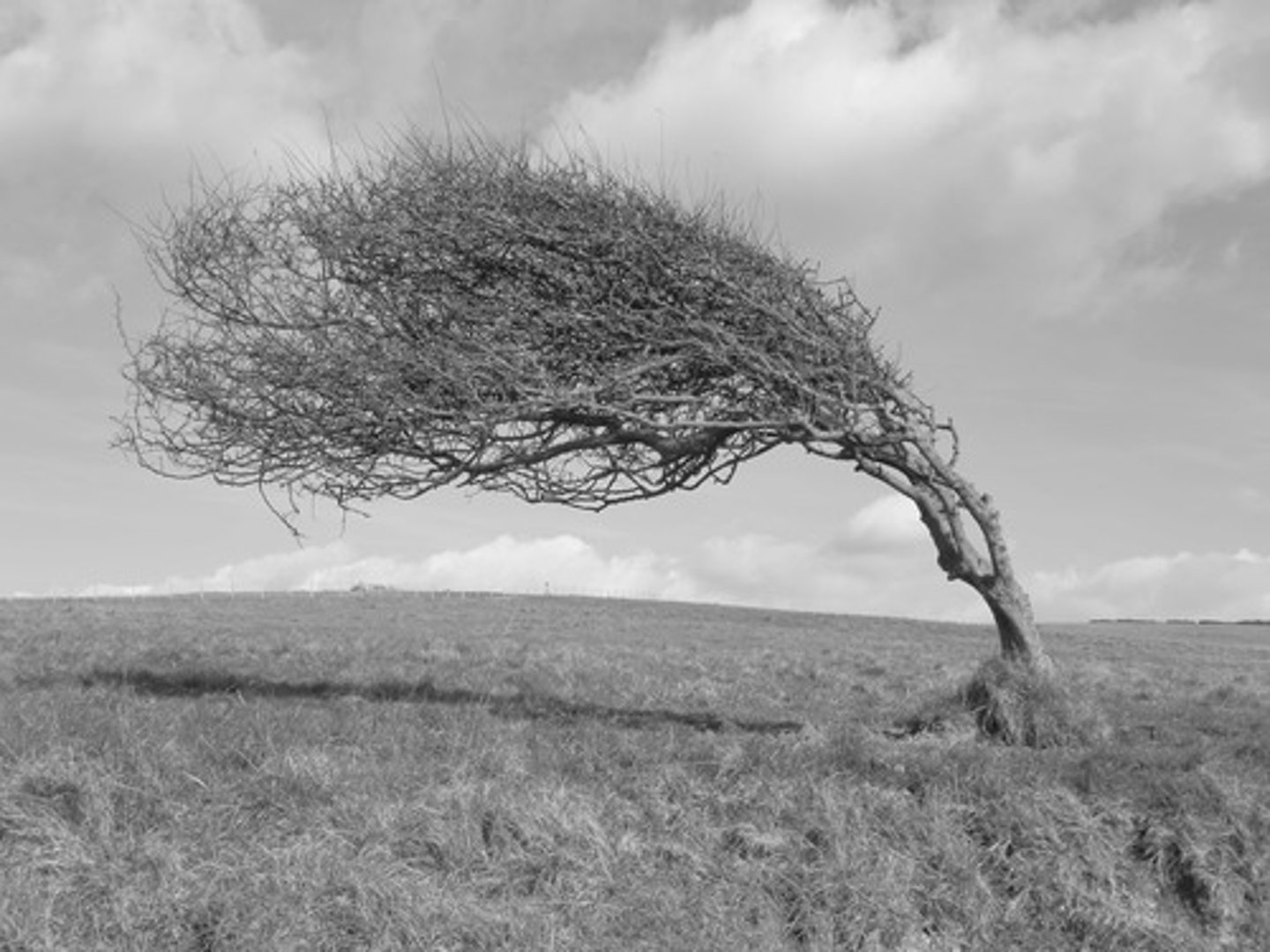 <p>adj., unprotected from the wind</p>