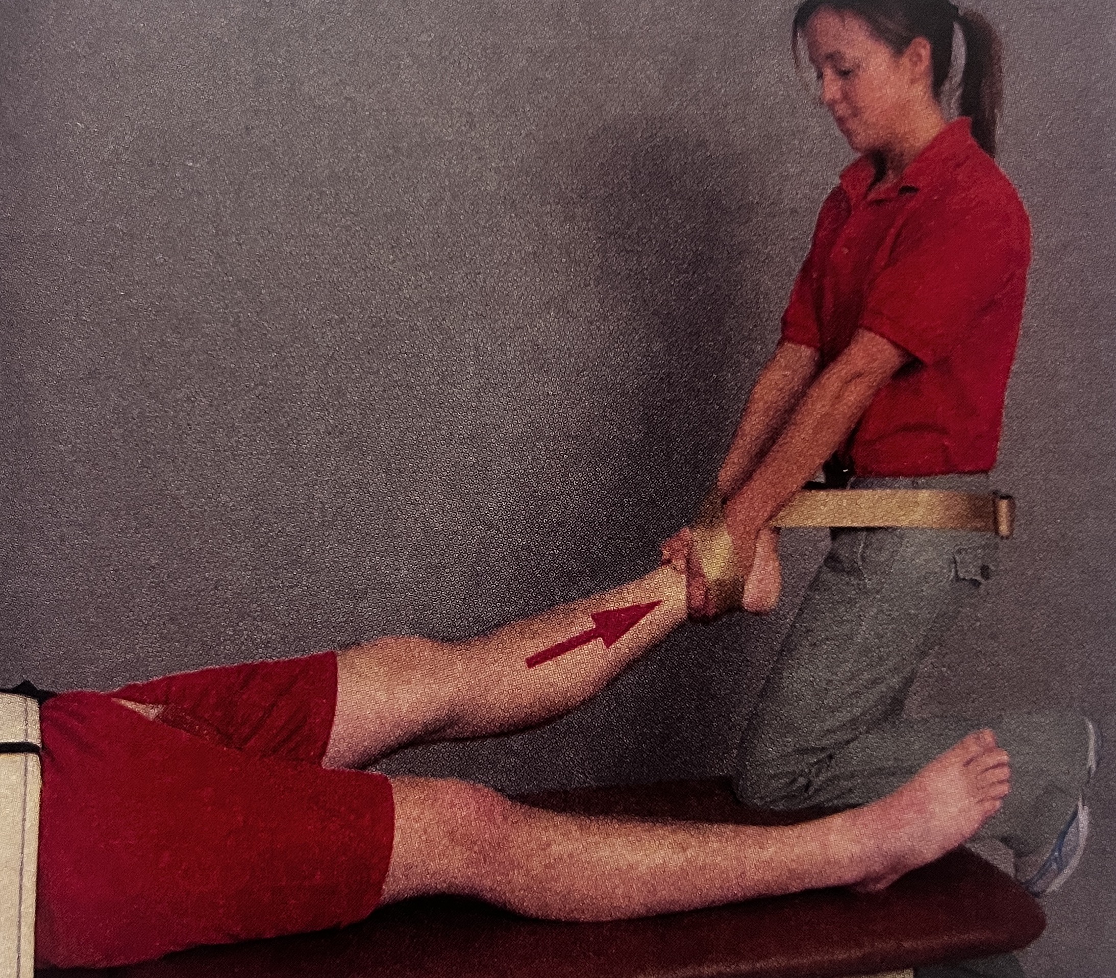 <p>What joint mob is this?</p>