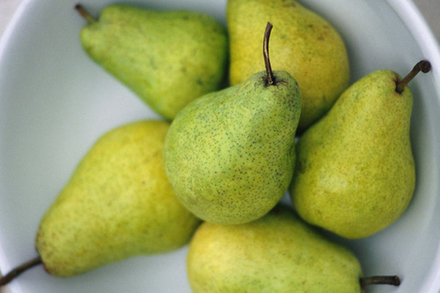 <p>pear</p>