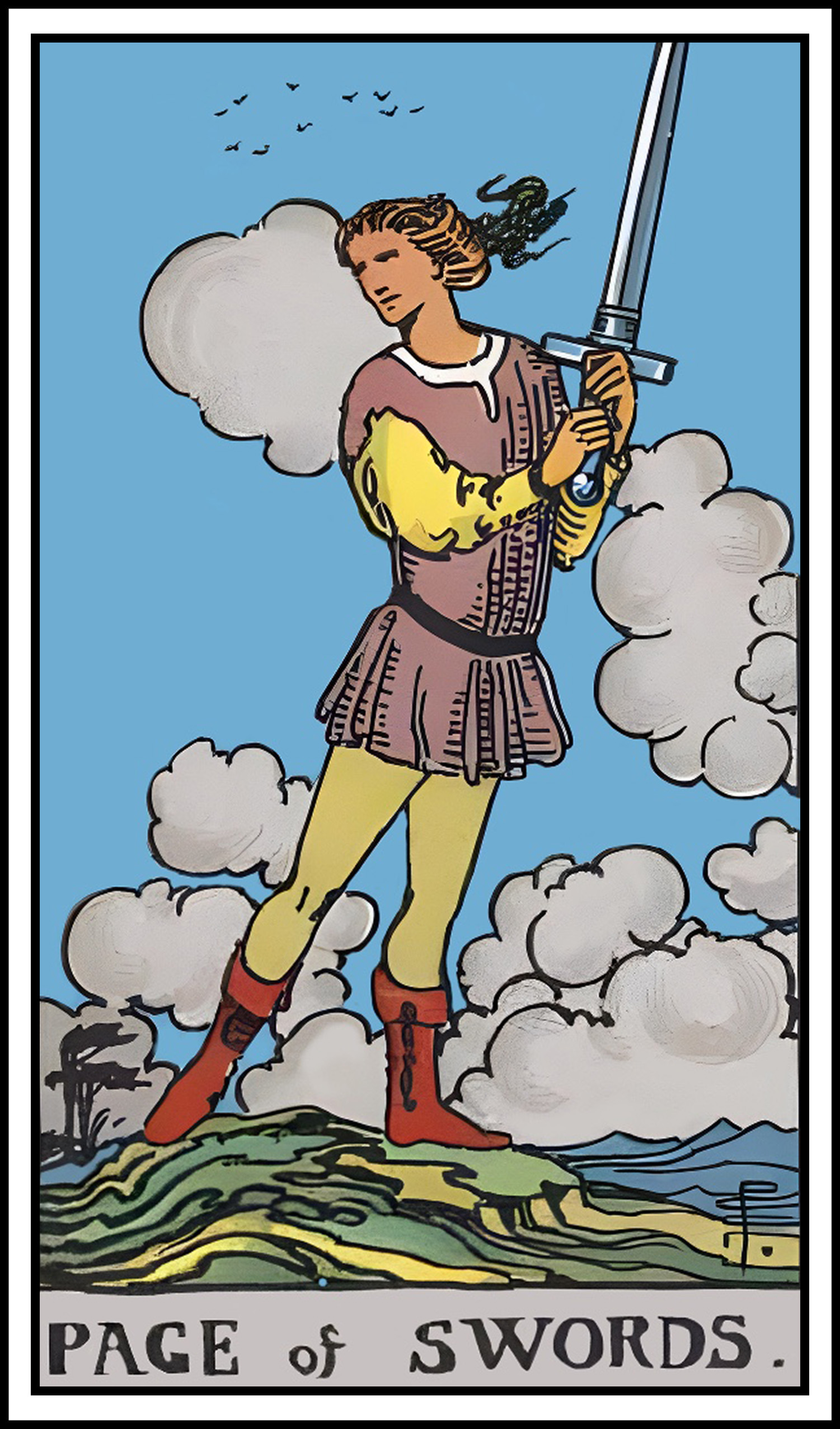 <p>page of swords</p>