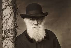 <p><span style="background-color: transparent;"><strong>7.) </strong></span>1809-1882</p><ul><li><p><span style="background-color: transparent;">Theory of natural selection which was the foundations of functionalism and understanding human behavior</span></p></li><li><p><span style="background-color: transparent;">Evolution of mind and behavior and the expression of emotions led to development of evolutionary psychology FROM publication of The Expression of the Emotions in Man and Animals</span></p></li><li><p><span style="background-color: transparent;">EVOLUTIONARY PSYCH HELPED EXPLAIN HOW PEOPLE MADE PSYCHOLOGICAL ADAPTIONS</span></p></li></ul><p></p>