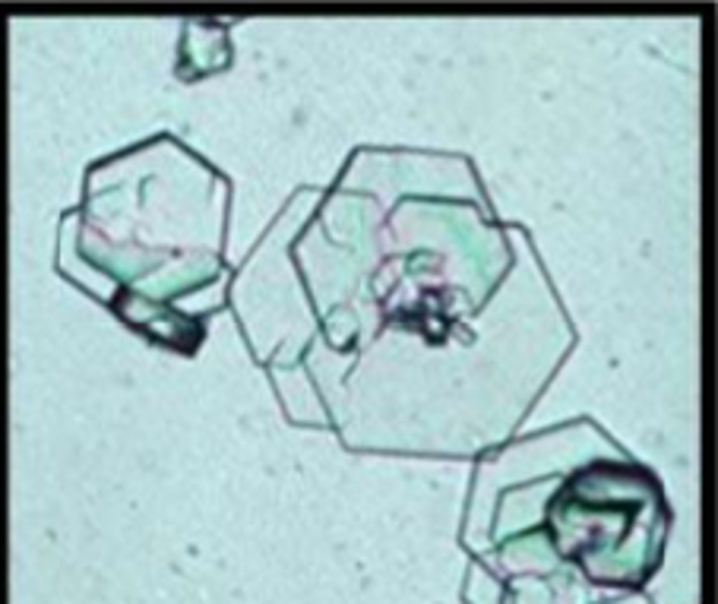 <p>hexagonal</p>