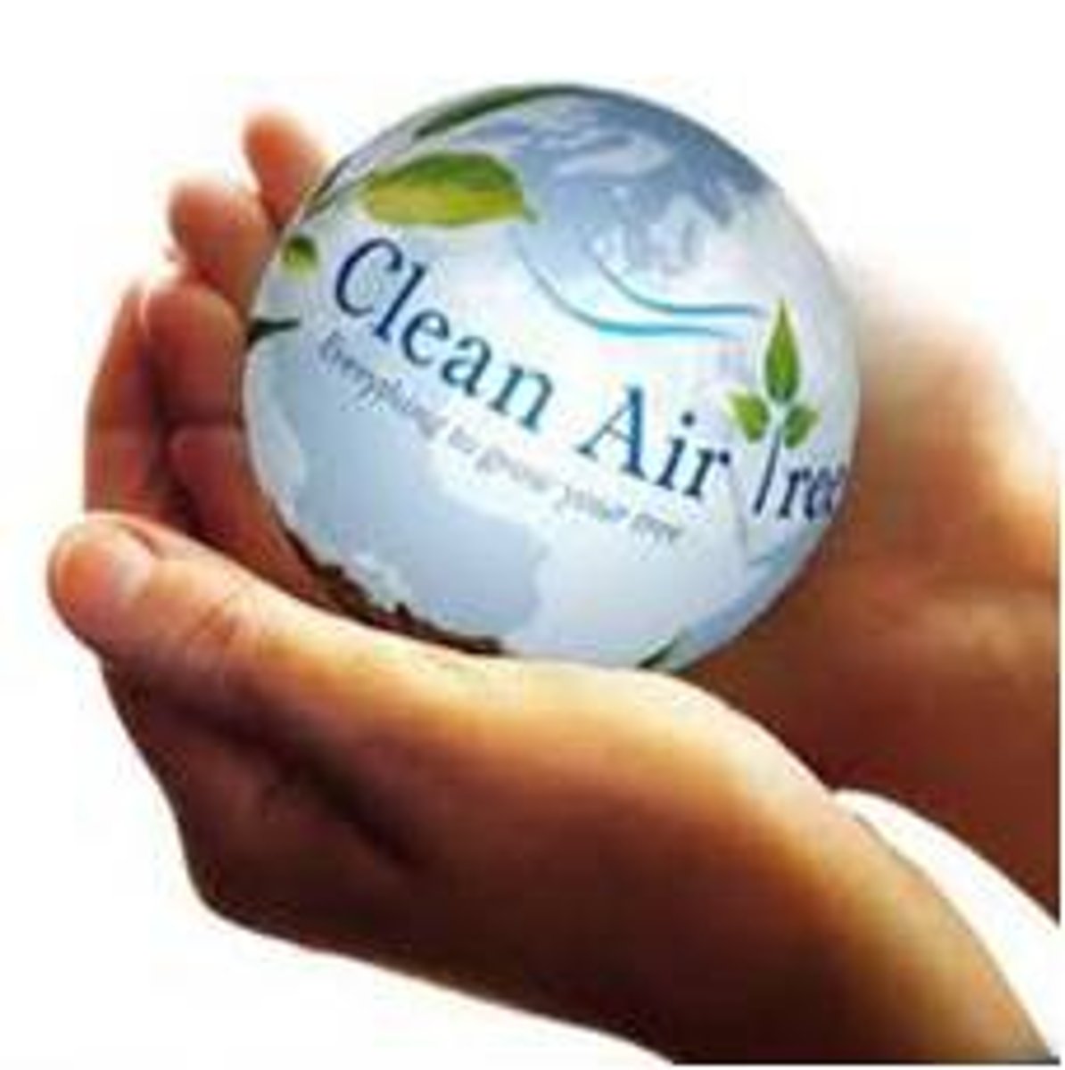<p>The law aimed at combating air pollution, by charging the EPA with protecting and improving the quality of the nation's air</p><p>- CO2, O3, lead, N2, PM, SO2</p>