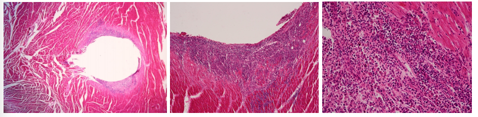 <p>this is?&nbsp;</p>