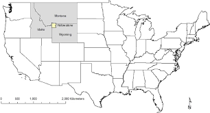 <p>extraordinary geothermal features, including geysers and hot springs, are a direct result of its location above a <strong>continental hot spot</strong></p>