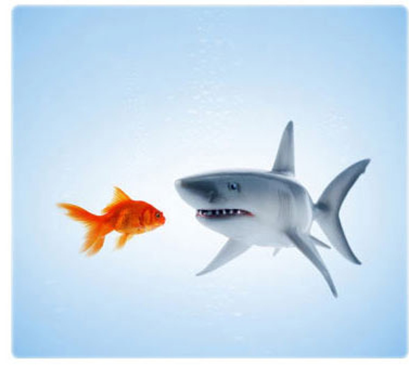 <p>ちょうせん【KHIÊU CHIẾN】</p><p>sự thách thức, khiêu chiến</p>