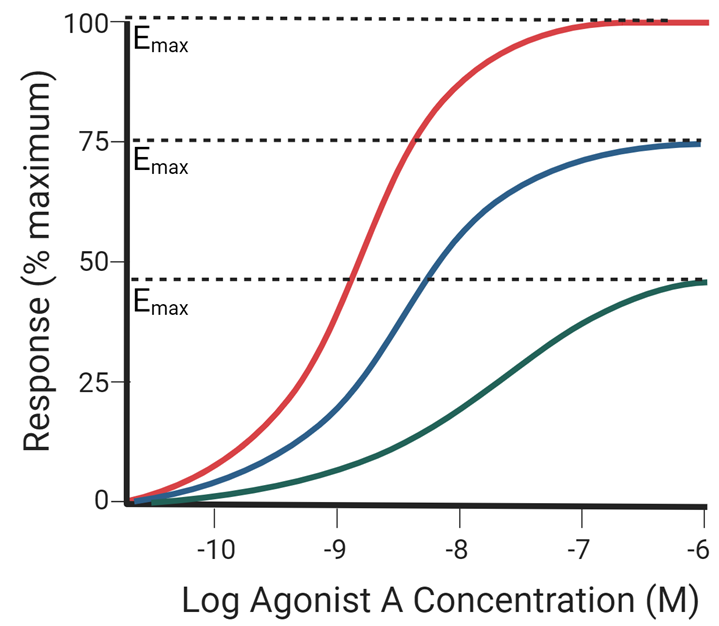 <p>With increasing concentrations of antagonist:</p><ul><li><p>Emax of agonist A reduces</p></li></ul><p></p>