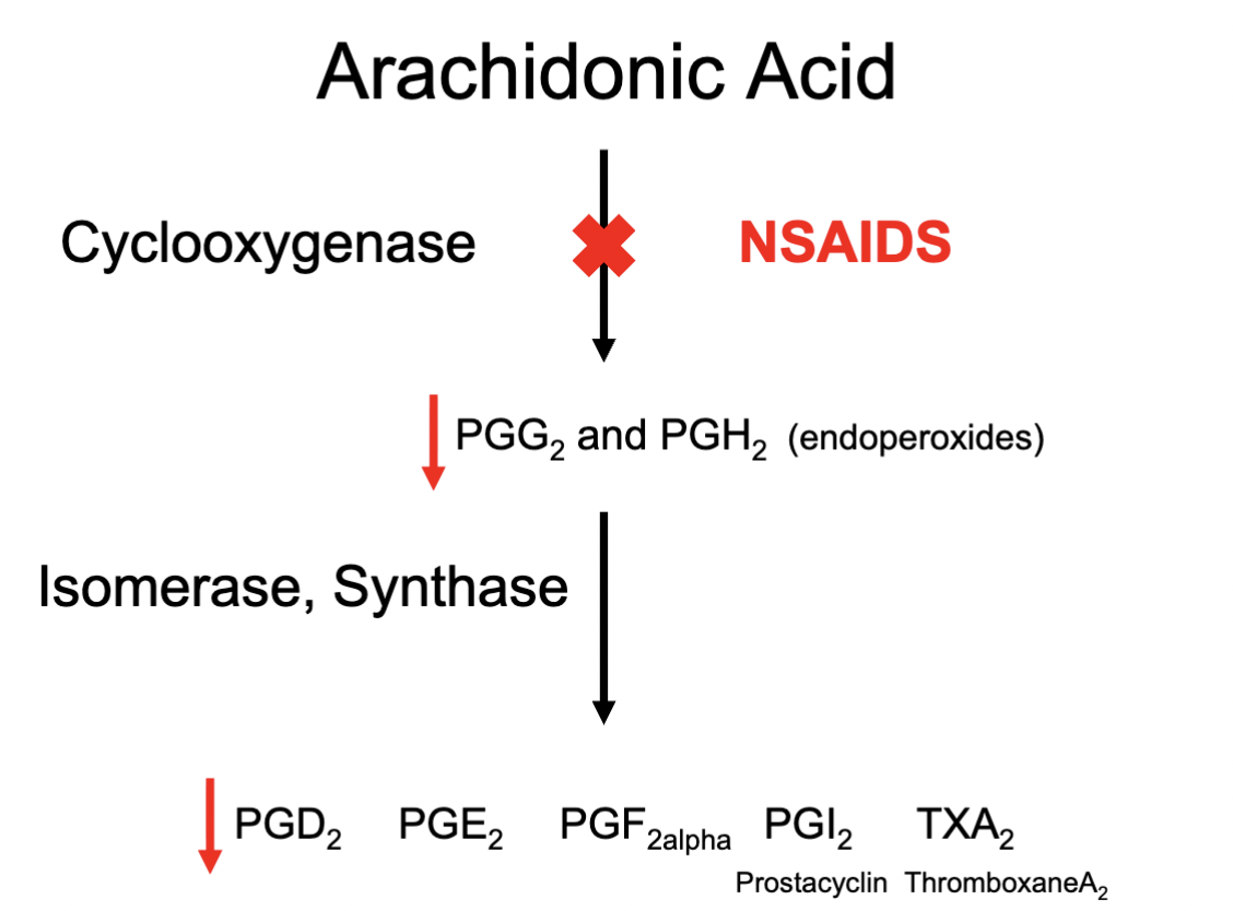 <ul><li><p>Blocking COX enzyme responsible for metabolism of Arachidonic Acid; reducing production of prostaglandins</p></li></ul><p></p>