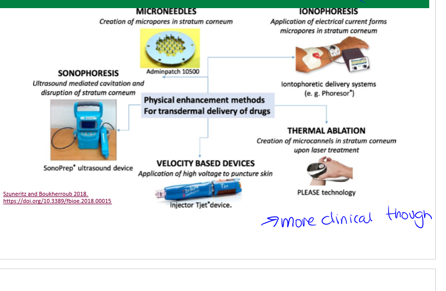 <p>transdermal drug delivery system enhancement, increasing absorption through pores. </p>