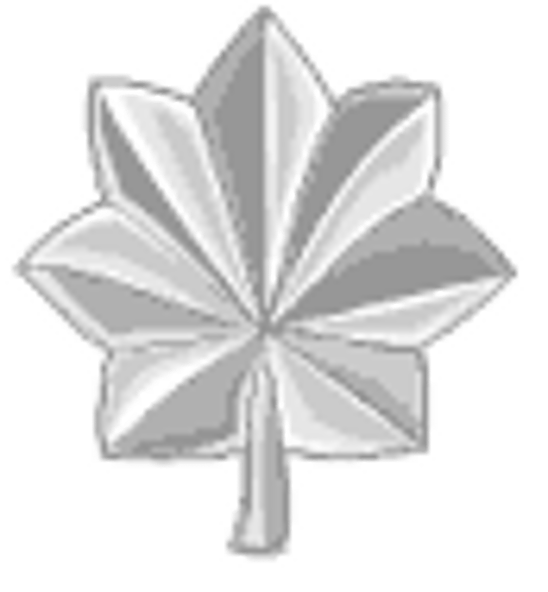 <p>O-5 (USAF, Army, USMC)</p>