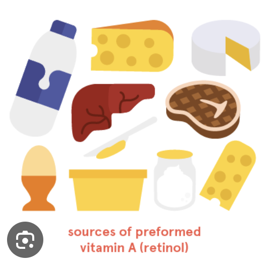 <ul><li><p>animal sources (liver, kidney)</p></li><li><p>cream, butter, egg yolk</p></li><li><p>more bioavailable</p></li></ul><p></p>