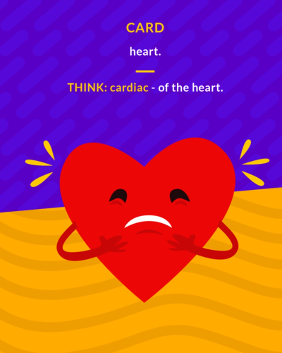 <p>heart</p>