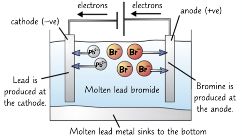 <p><u>Ions present:</u> Pb<sup>2+</sup>, Br<sup>-</sup>, H<sup>+</sup>, OH<sup>-</sup></p><p><u>ANODE (oxidation):</u> 2Br<sup>-</sup> → Br<sub>2</sub><strong><sub> </sub></strong>+ 2e<sup>-</sup></p><p><u>CATHODE (reduction):</u> Pb<sup>2+</sup> + 2e<sup>-</sup> → Pb</p><p><u>Overall reaction:</u> Pb<sup>2+</sup>+ 2Br<sup>-</sup> → Pb + Br<sub>2</sub></p><p><u>Extra notes:</u></p><p>- bromine gas is produced at the anode</p><p>- lead is produced at the cathode</p><p>- molten lead metal sinks to the bottom</p>