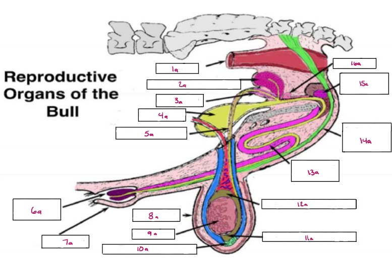 <p>Name 3a</p>