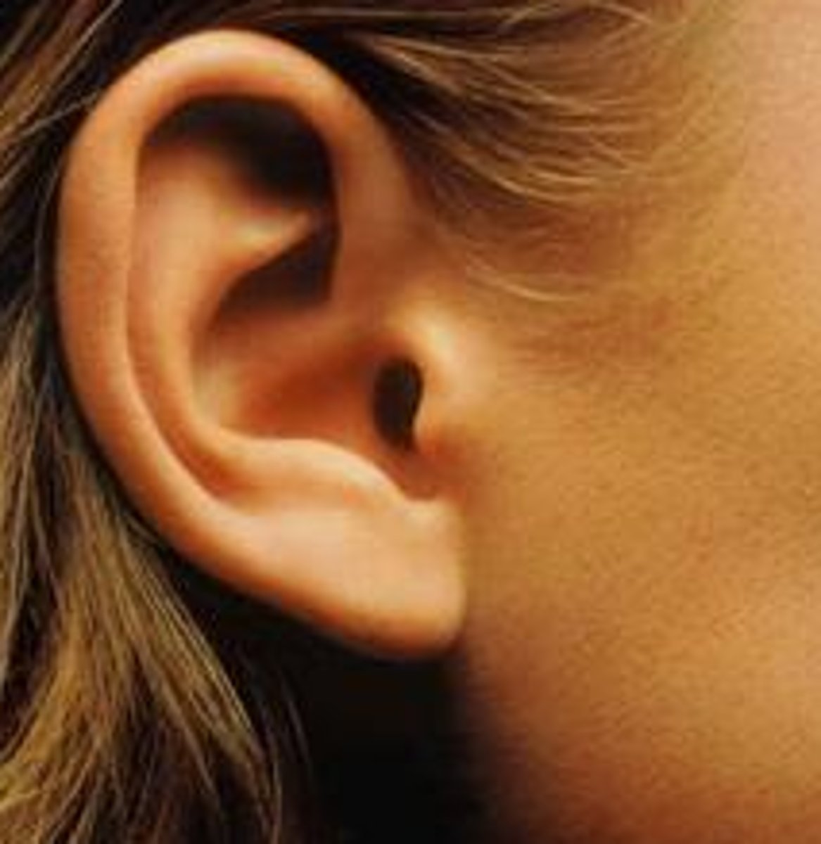 <p>to hear</p>