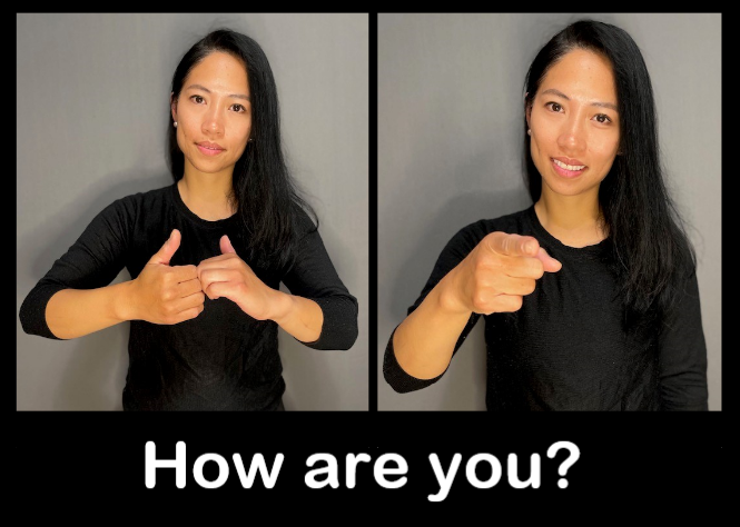 100 Basic ASL Signs (Chris Gorges Series) Flashcards | Knowt